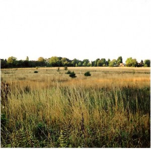 Warneford Meadow