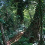 Shotover Country Park